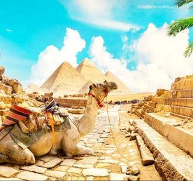 Осень в Египте: Каир/Александрия/Сахара/6 пирамид/Луксор/Море!