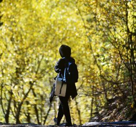 Интернет-детокс в ущелье реки Махар