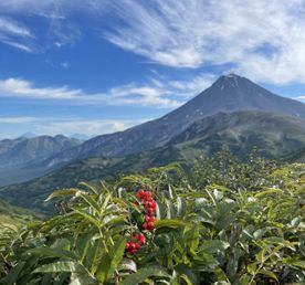 Джип-тур к Дачным источникам (мини долина гейзеров) и водопад Снежный Барс