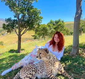 Роскошная Африка: Юар+Ботсвана+Зимбабве