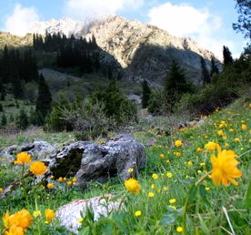 Из Бишкека в горы Тянь-Шаня!