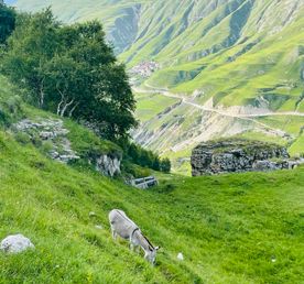 Тур "Неделя в Дагестане" 7 дней/6 ночей