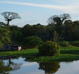 7 дней в Колумбии — мистические воды и чудеса Амазонки