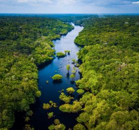4 дня в самом сердце джунглей