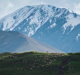 Тур Топ Дагестана Всё включено 3 дня