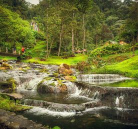 5 дней — насладитесь Рисаральдой: природа, культура и кухня