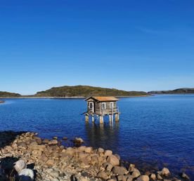 Териберка, Дальние Зеленцы и морское путешествие в поисках китов