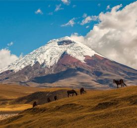 12-дневное приключение в Андах: путешествие по иконам и скрытым сокровищам Эквадора