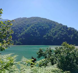 Вкус Горной Аджарии! Традиции, Вино и Неповторимые виды!