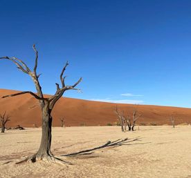 Джип-тур в Намибию