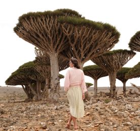 Фото-экспедиция на Сокотра