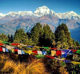 Треккинг и сафари в Непале