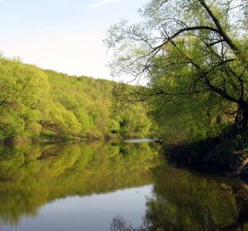 Сплав по реке Осётр на байдарках (два дня)