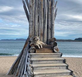 Большой Кольский: Мурманск + Териберка + Ловозеро + этнодеревня и Кировск