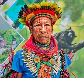 4 Days - Cuyabeno Amazon Adventure