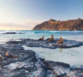 5 Увлекательный тур по Галапагосским островам