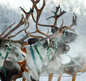 Саамские мотивы. Этнический парк