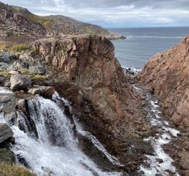 Душа океана  киты и скалы. День мечты в Териберке