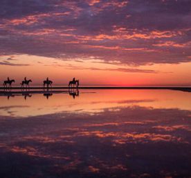 Дагестан Своими Глазами! 7 дней. Всё включено.