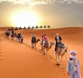 Пустыня Мерзуга Сахара в 3 днях от Марракеша 