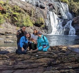 Путешествие по Шри-Ланке: Киты, сафари и шарм Цейлона (индивидуально)