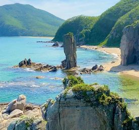 Тигры у моря. Приключенческий тур в Приморье с высоким комфортом.