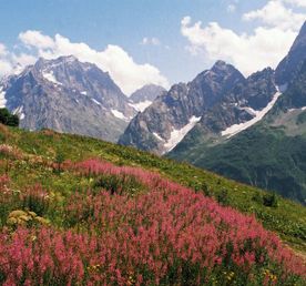 Сокровища Домбая