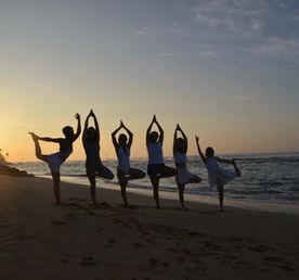 Актив-Йога-Тур Райская Шри-Ланка