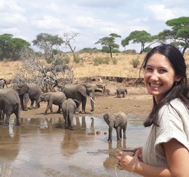 5-дневный сезон отёла миграционного сафари в Серенгети