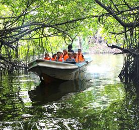 Шри-Ланка за 4 дня: От Коломбо до Синхараджи (индивидуально)