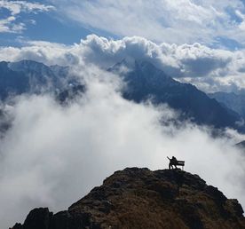 Завораживающая Осетия