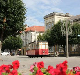 [Индивидуально, по запросу] Сквозь века: круговой тур по Калининградской области (Полесск, Советск, Неман, Гусев, Черняховск)