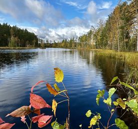Пеший поход в Озерный край