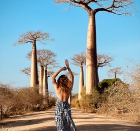 Мадагаскар + Маврикий