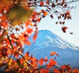 Япония Под Сенью Красных Кленов