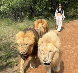 Твоя яркая Африка: ЮАР + Замбия + Зимбабве