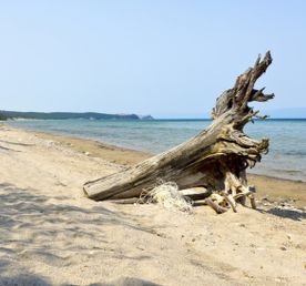 Алмазные грани Байкала