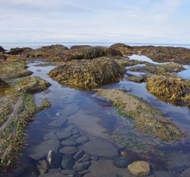 Кругосветка по Кольскому полуострову