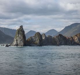 Быстрая камчатка