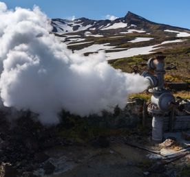 Быстрая камчатка