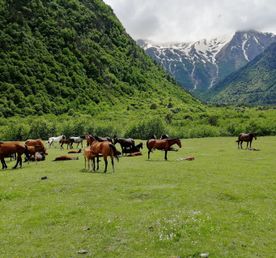Загадки кавказских ущелий (Осетия - Ингушетия) - 6 дн/5н