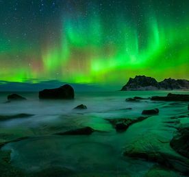 Открой для себя Арктику. Все включено, описание ниже