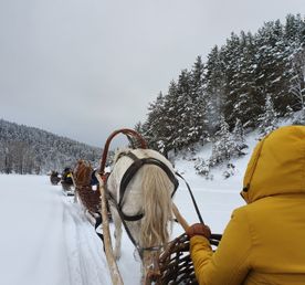 Через три заповедника Урала (зима)