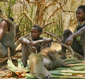 По следам африканского Адама