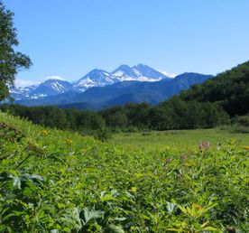 Треккинг в Налычево (поход с рюкзаками)