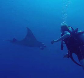 Фитнес  зумба тур на Мальдивы! Всё включено! Полный пансион!