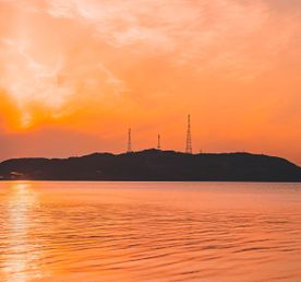 Териберка: киты на Баренцевом море