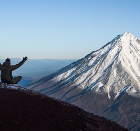 От медведя до касатки