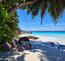 РАЙСКИЕ СЕЙШЕЛЫ НА ПАРУСНОМ КАТАМАРАНЕ ПОВЫШЕННОГО КОМФОРТА