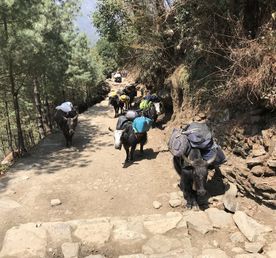 Автотур в магический Непал (без рюкзаков)